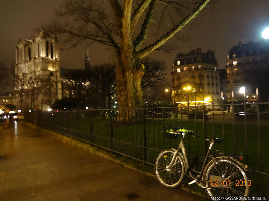 Любимый сквер Рене Вивиани Париж, Франция
