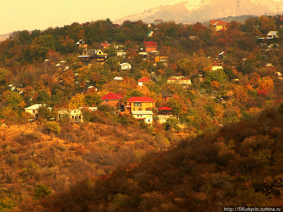 Вид с горы Кок-Тобе Вид с горы Кок-Тобе