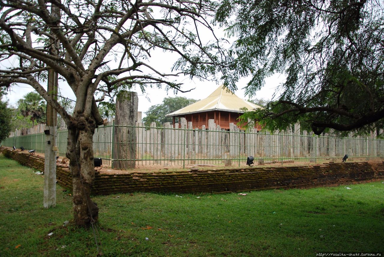 Анурадхапура и самое древнее дерево Анурадхапура, Шри-Ланка