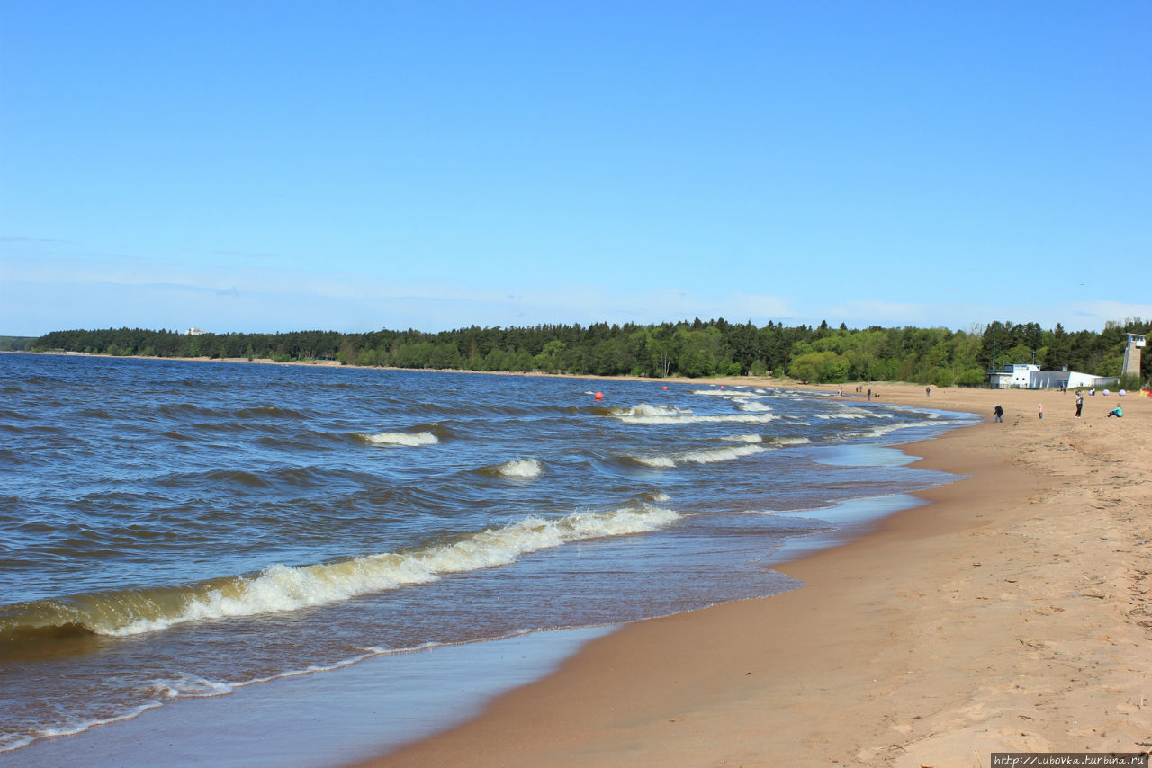 пляж Ласковый
май 2015 Солнечное, Россия