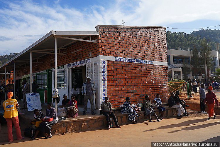 На зеленых холмах страны Ру Руанда На зеленых холмах страны Ру Руанда