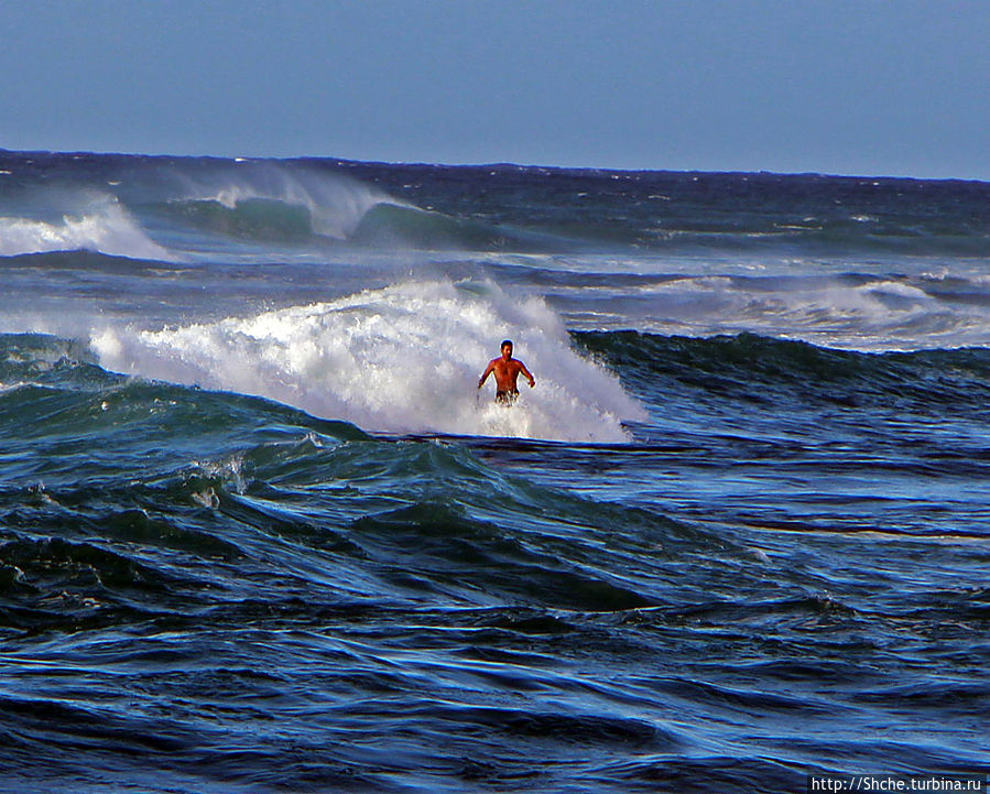 красавец-победитель красавец-победитель