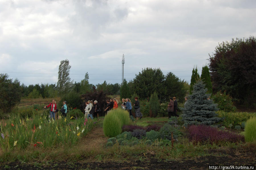 Мы отправились в Ботанический сад. Часть 2. Цветы и ягоды Саратов, Россия