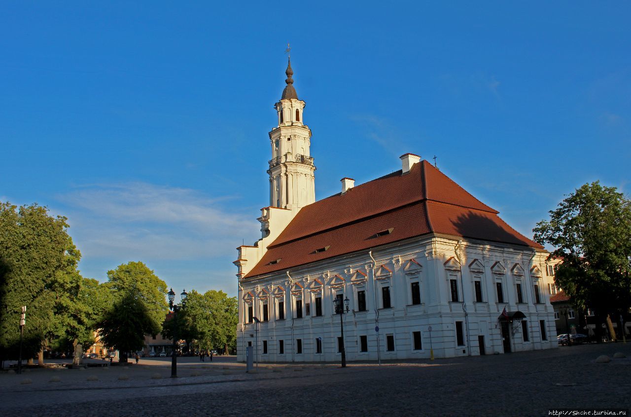 Ратушная площадь Каунас, Литва