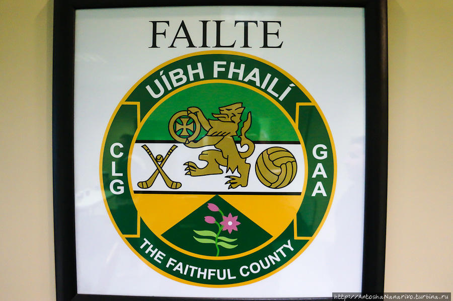 Эмблема команд хёрлинга и гэльского футбола графства Оффали. Талламор, Ирландия