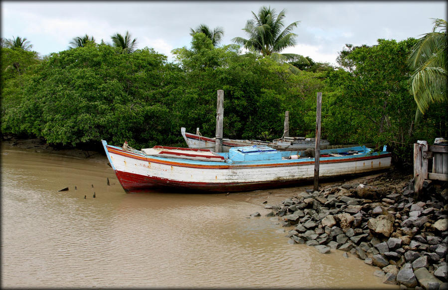 Фортовая достопримечательность Суринама Ньив-Амстердам, Суринам Фортовая достопримечательность Суринама Ньив-Амстердам, Суринам