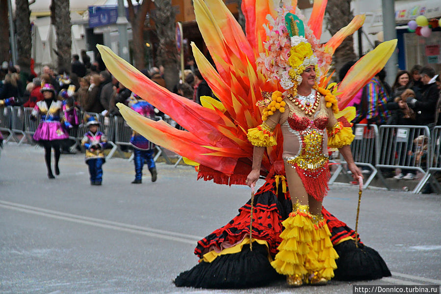 впереди следующей колонны шло вот это чудо-природы, то ли птица, то ли зверь... назовем его кетцаль-грифоном впереди следующей колонны шло вот это чудо-природы, то ли птица, то ли зверь... назовем его кетцаль-грифоном