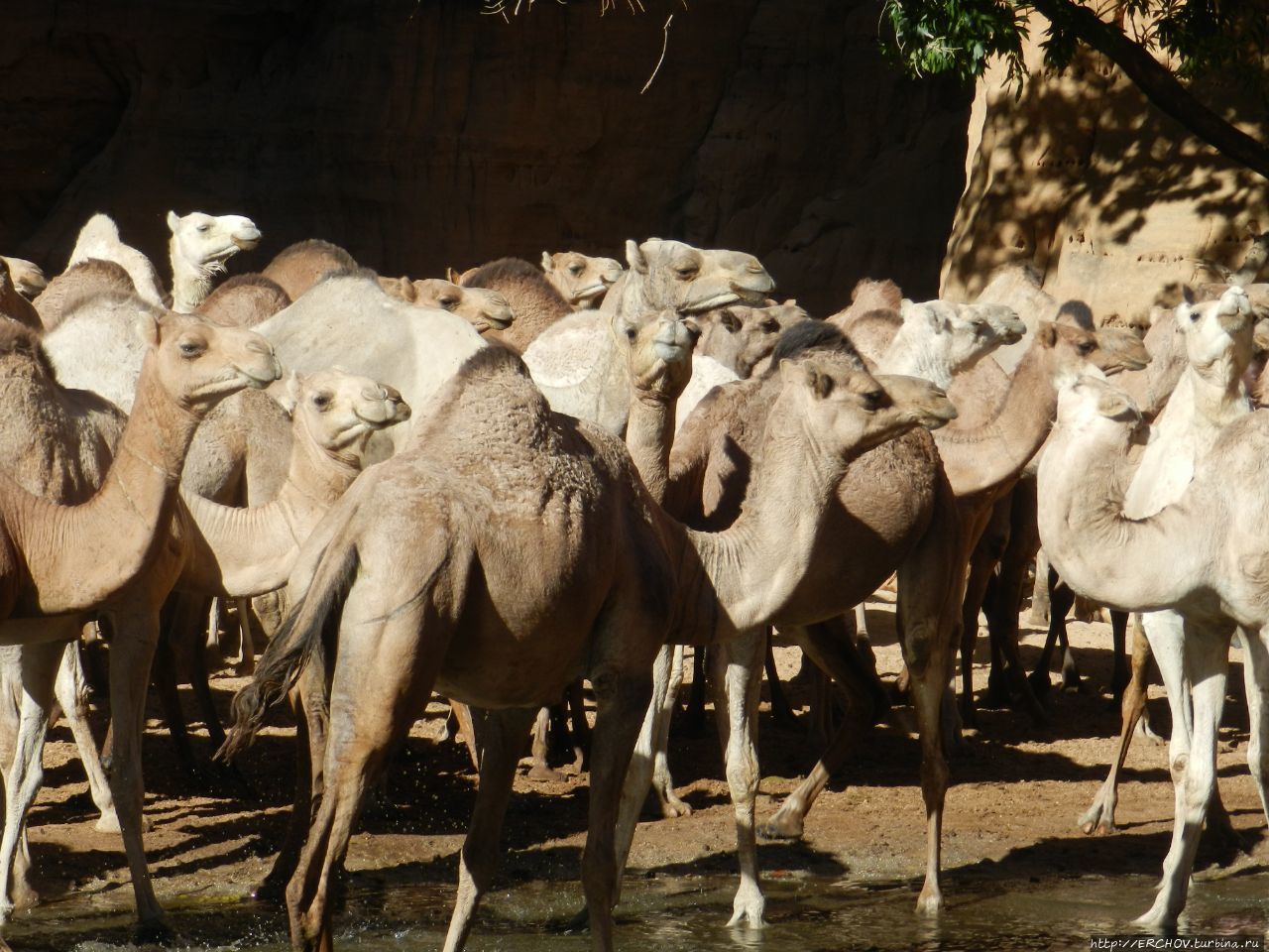 Чад. Ч-8. Гельта Башекале. Арки: Алоба и Слон. Пещера Теркей Горное плато Эннеди, Чад Чад. Ч-8. Гельта Башекале. Арки: Алоба и Слон. Пещера Теркей Горное плато Эннеди, Чад