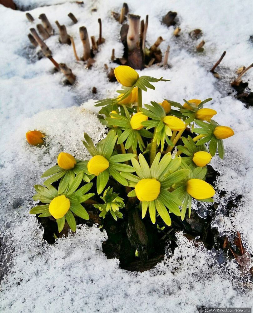 Санкт-Петербург, февраль 2017 (альбом) Санкт-Петербург, Россия Санкт-Петербург, февраль 2017 (альбом) Санкт-Петербург, Россия