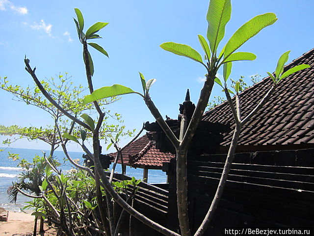 Фотографии с острова Бали Джимбаран, Индонезия