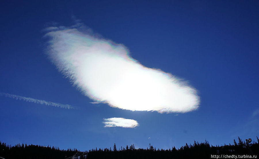 На устрицу похоже На устрицу похоже