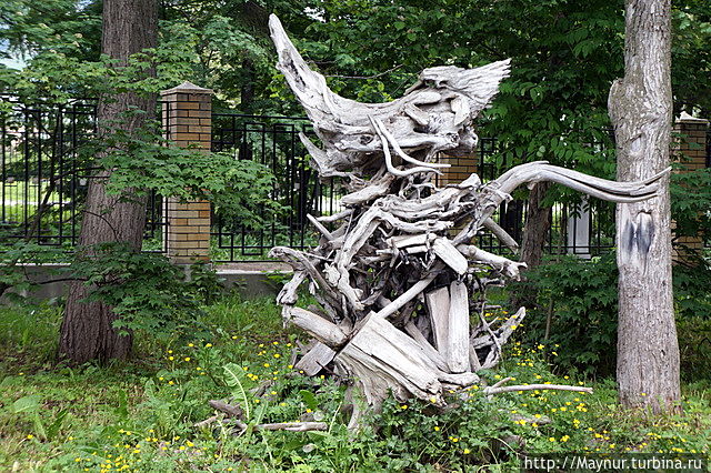 Такая вот скульптура из корней деревьев. Южно-Сахалинск, Россия Такая вот скульптура из корней деревьев. Южно-Сахалинск, Россия