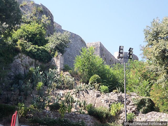 Крепостная стена. Крепостная стена.