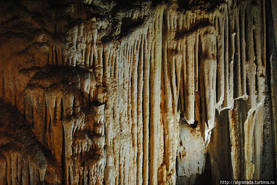 Кажется еще чуть чуть и этот орган заиграет. Кажется еще чуть чуть и этот орган заиграет.