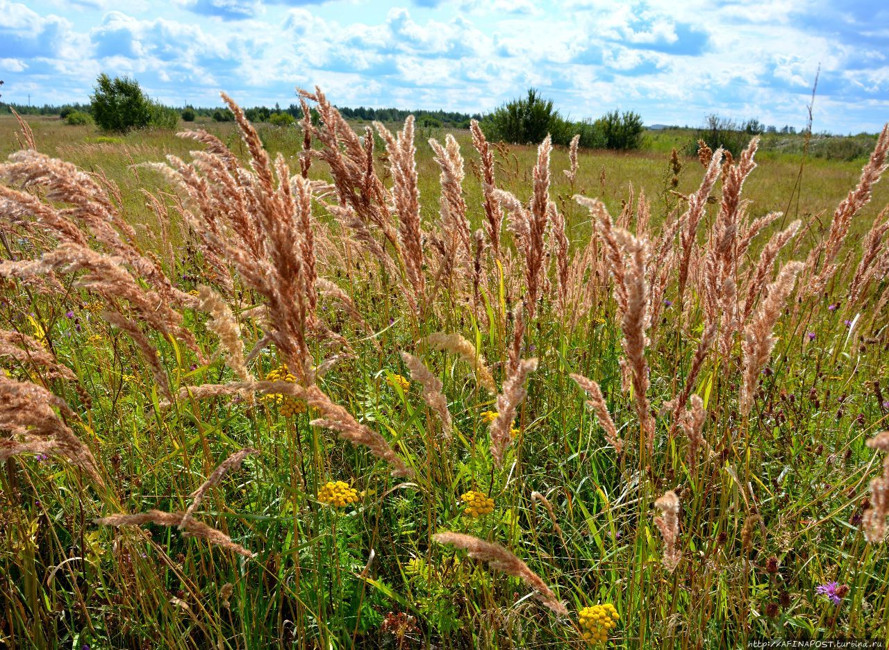 Кафедральный собор Воскресения Христова Вичуга, Россия Кафедральный собор Воскресения Христова Вичуга, Россия