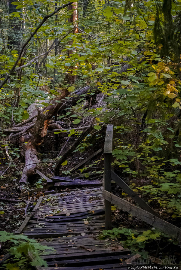 Тропа не для слабых Кемери, Латвия Тропа не для слабых Кемери, Латвия