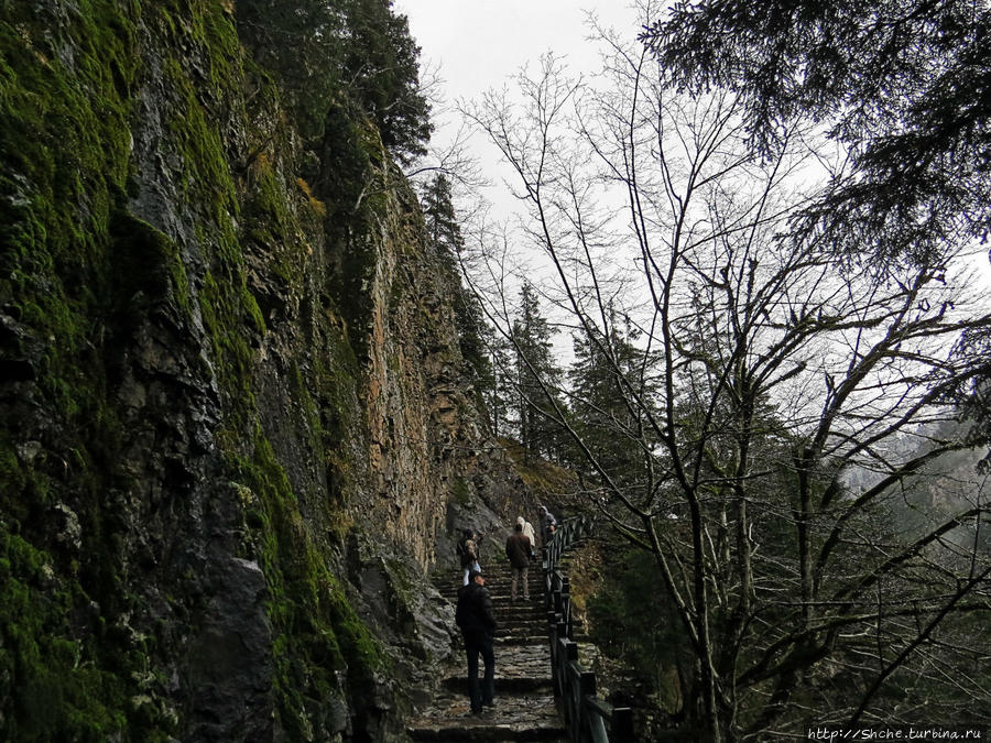 Граненый стакан, вынутый из морозилки — нац. парк Алтындере Национальный парк Алтындере, Турция Граненый стакан, вынутый из морозилки — нац. парк Алтындере Национальный парк Алтындере, Турция