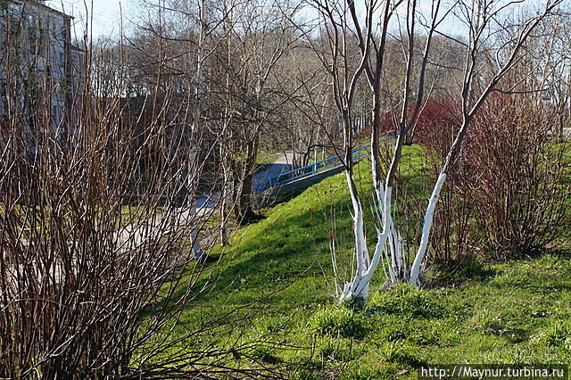 Свершилось! Южно-Сахалинск, Россия Свершилось! Южно-Сахалинск, Россия