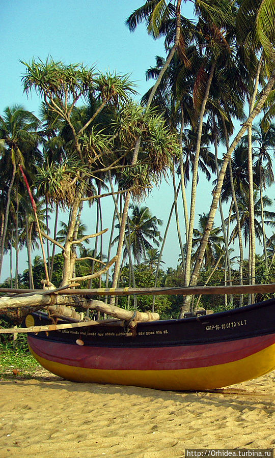 Шри-Ланка. Воспоминания о тепле, море, солнце и пальмах Калутара, Шри-Ланка