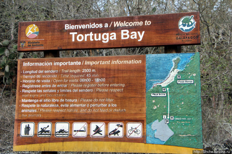 Бухта черепах (Tortuga bay) — лучшее место на о. Санта Круз Пуэрто-Айора, остров Санта-Крус, Эквадор