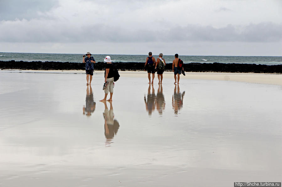 а это отражения в песке после дождя... Пуэрто-Айора, остров Санта-Крус, Эквадор