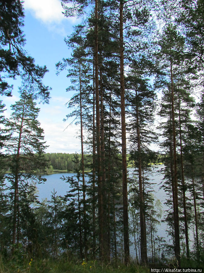 Вид с гряды в Пункахарью Пункахарью, Финляндия