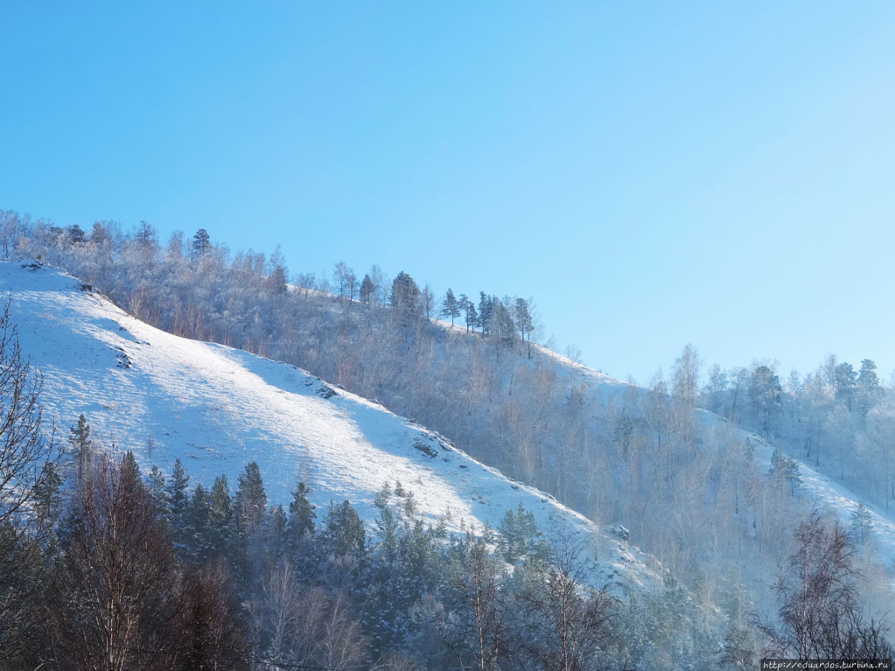 За Крещенской водой к проруби... Красноярск, Россия За Крещенской водой к проруби... Красноярск, Россия