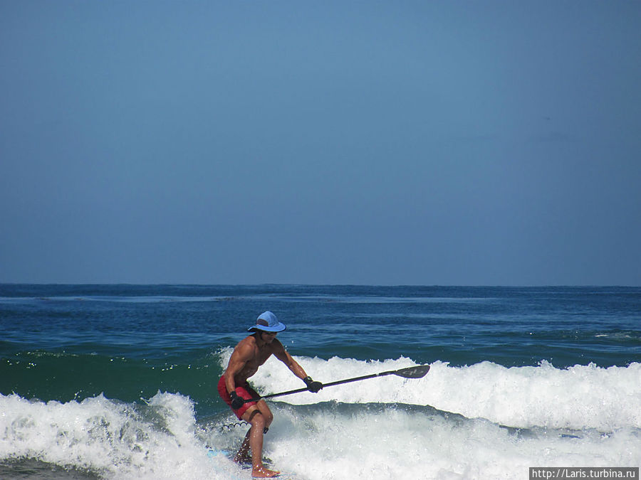 Серфингисты в Энсинитасе. Серфингисты в Энсинитасе.