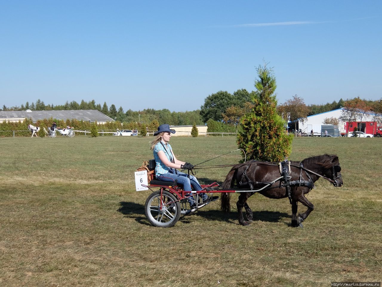 Баба з возу — кобыле легше Фишбах, Германия Баба з возу — кобыле легше Фишбах, Германия