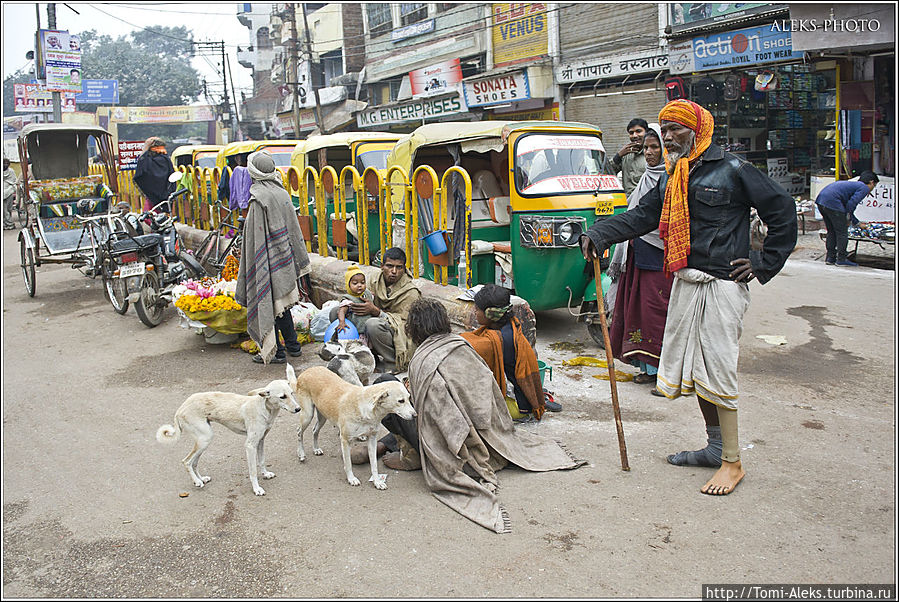 Просто гениальный сюжет из Варанаси. Такого вы ни в одном театре мира не увидите. В этом городе можно увидеть все, главное, чтобы крышу не сносило. Такие колоритные компании сидят там на каждом пятачке. Я сначала не понял, почему у товарища справа одна нога необутая, потом до меня дошло — это протез...
* Просто гениальный сюжет из Варанаси. Такого вы ни в одном театре мира не увидите. В этом городе можно увидеть все, главное, чтобы крышу не сносило. Такие колоритные компании сидят там на каждом пятачке. Я сначала не понял, почему у товарища справа одна нога необутая, потом до меня дошло — это протез...
*