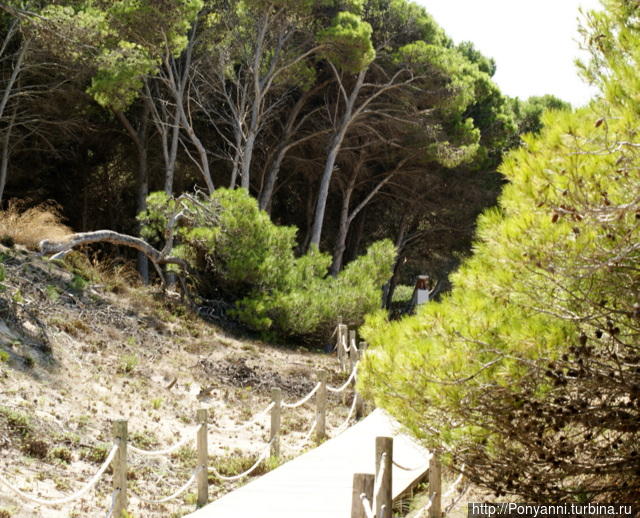 Менорка. Ареал Зон Заура — бухта солнечных ящериц Остров Менорка, Испания