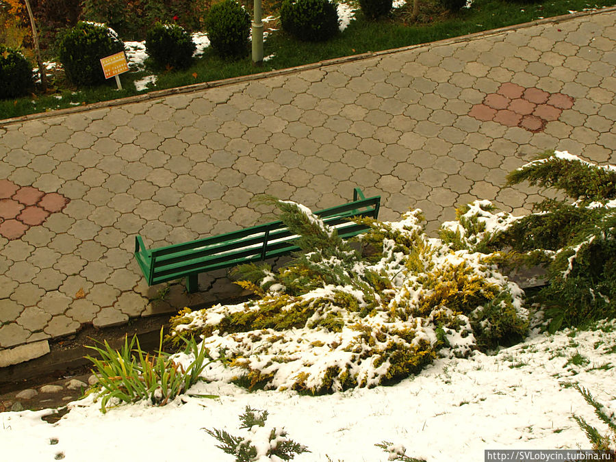 На горе Кок-Тобе На горе Кок-Тобе