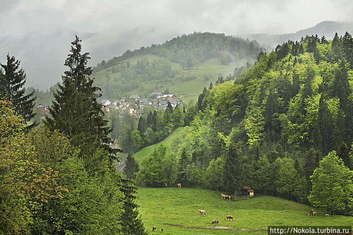 Подхом — в окрестностях ущелья Винтгар Юлийские Альпы, Словения