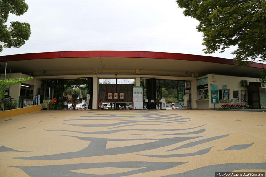 Зоопарк Аса Хиросима, Япония