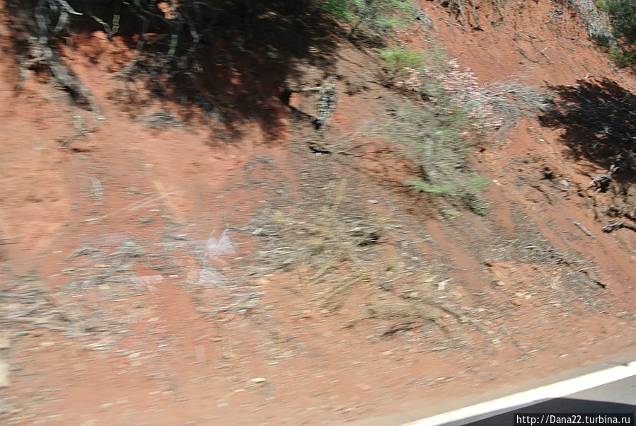 В почве — оксид железа. Проще говоря — ржавчина. Остров Ла-Гомера, Испания