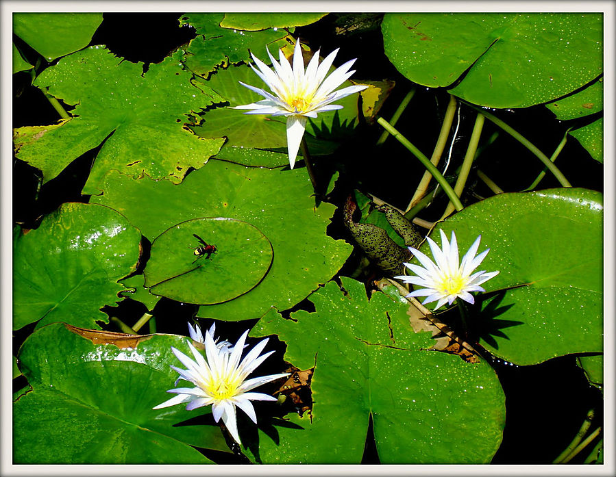 Где прячется душа женщины Где прячется душа женщины