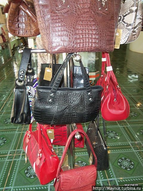 Это все,что осталось от крокодильчиков. Это все,что осталось от крокодильчиков.