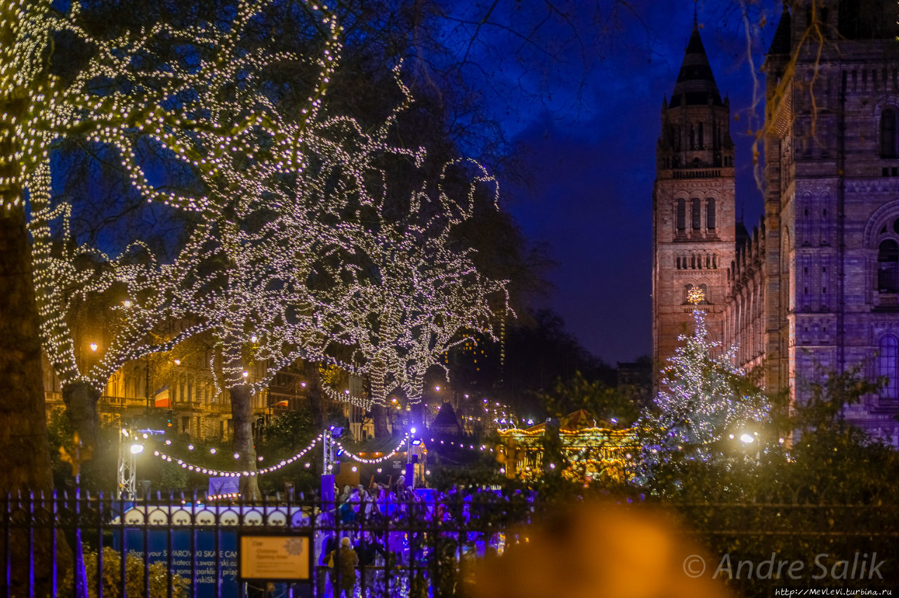 Открытый каток у Музея Естествознания / Outdoor ice rink near Natural History Museum