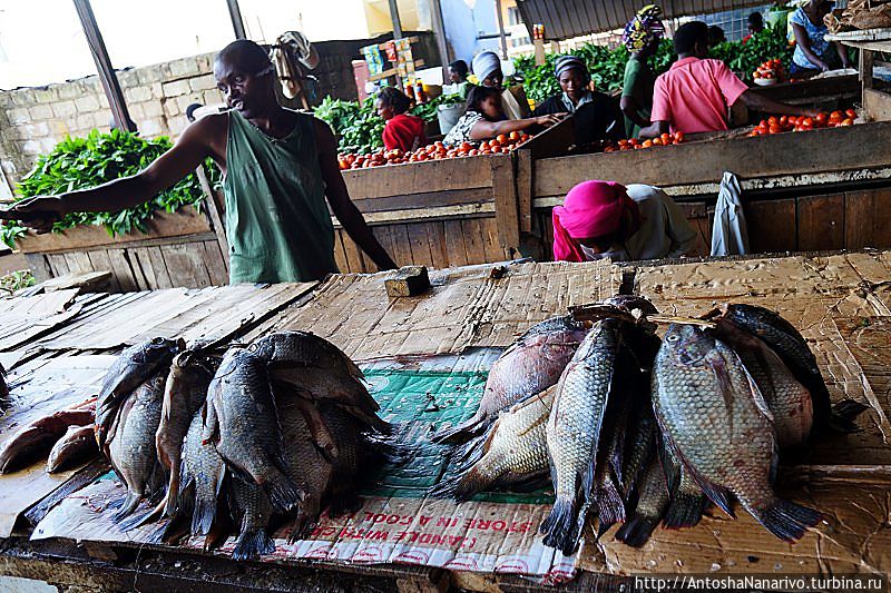 Свежая рыба. Кигали, Руанда