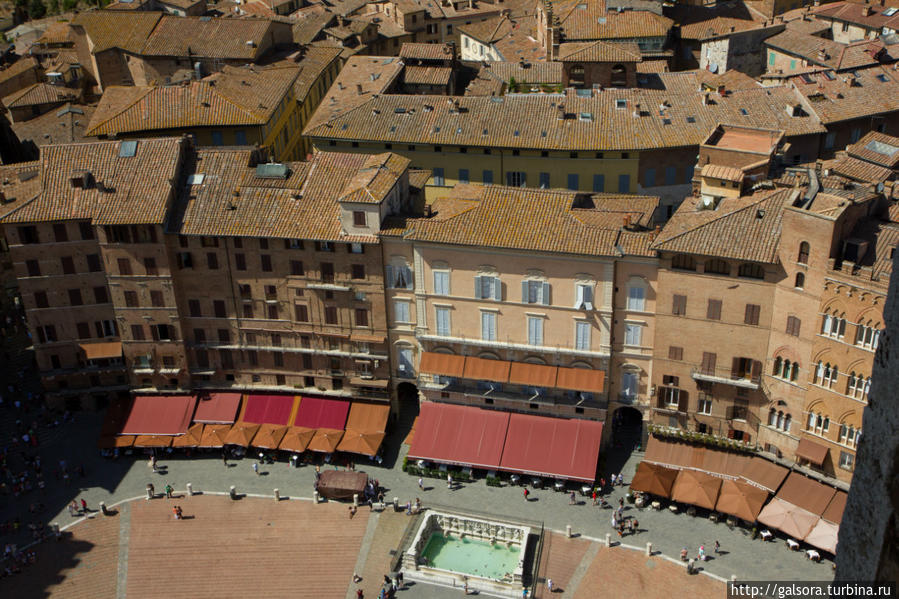 Площадь Piazza del Campo Сиена, Италия