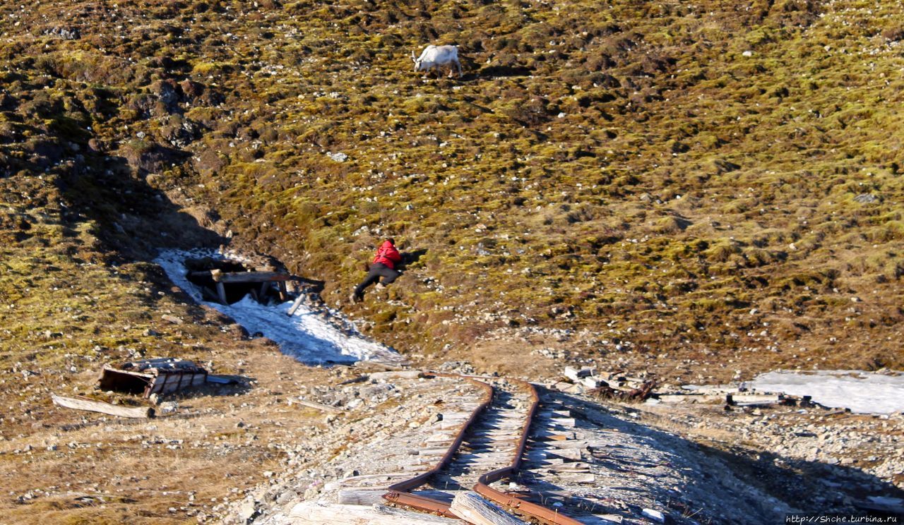 Заброшенная мраморная шахта Нордре Исфьорден Национальный Парк, Свальбард
