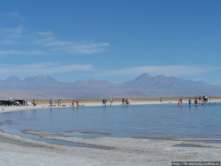 Солёное озеро Чили