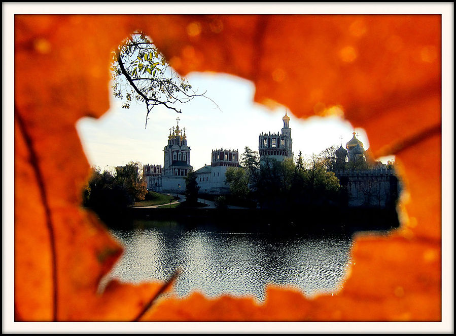 Взгляд на Москву через осенний листок. Москва, Россия