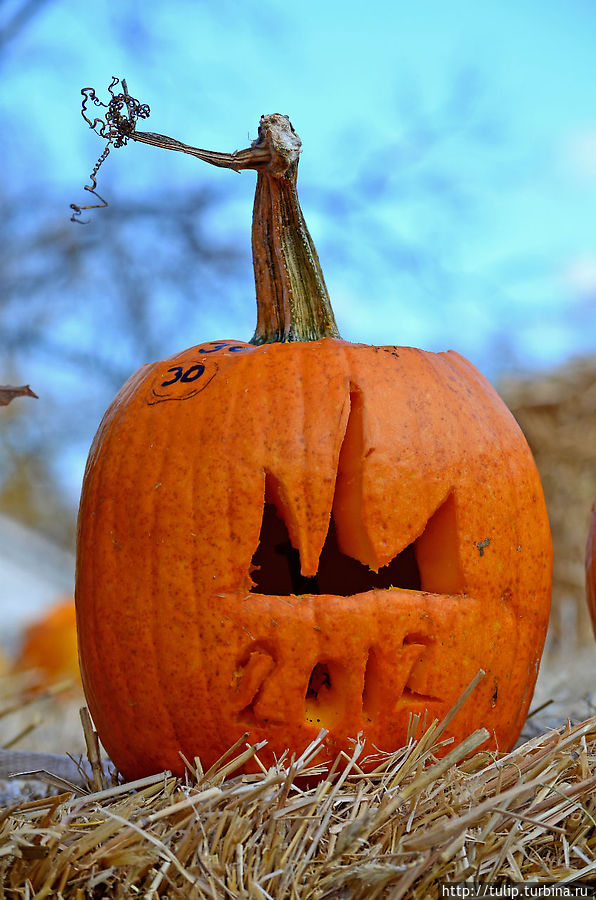 Столица Хэллоуина Анока, CША Столица Хэллоуина Анока, CША