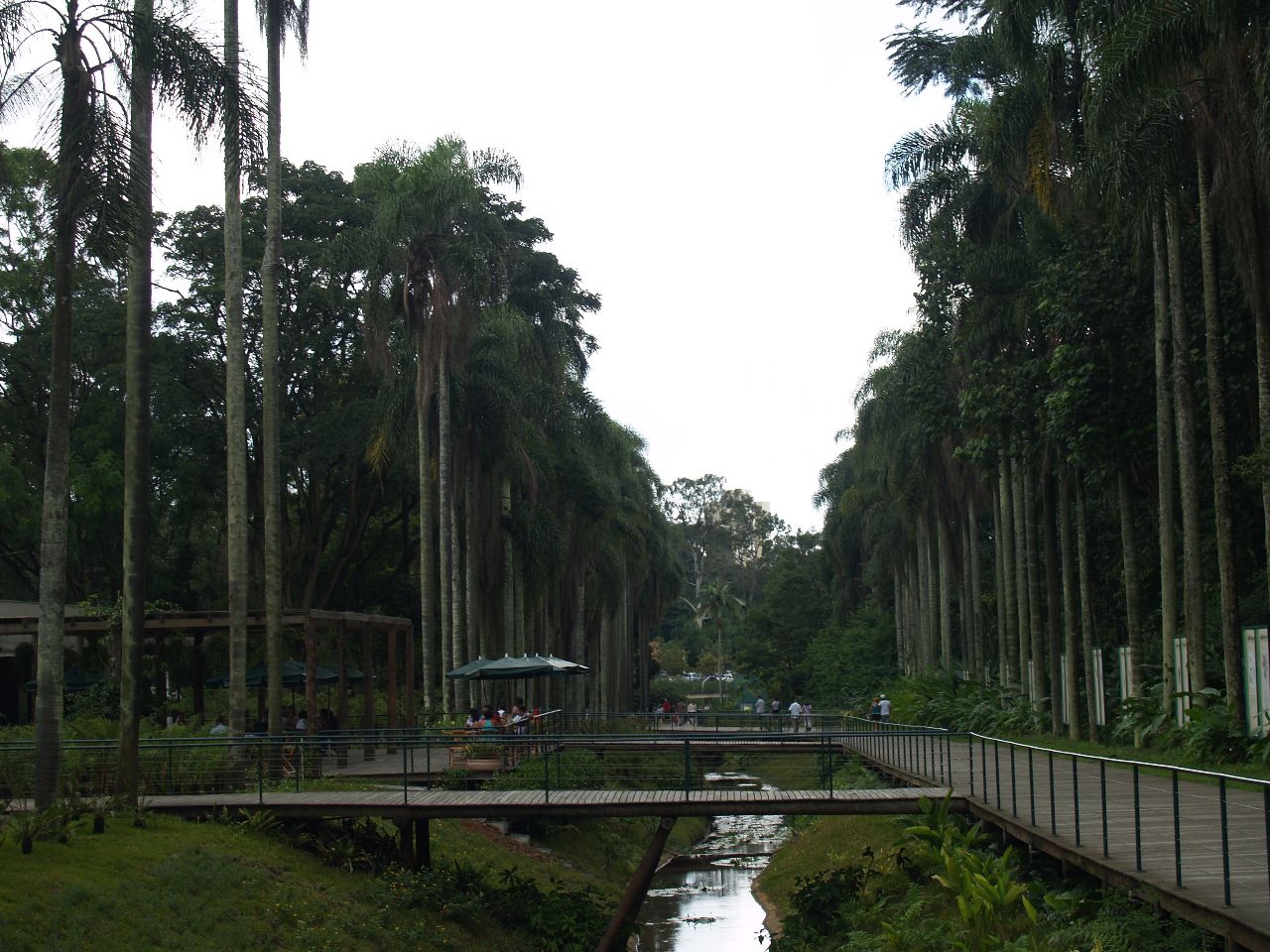 Ботанический сад Сан-Паулу Сан-Паулу, Бразилия