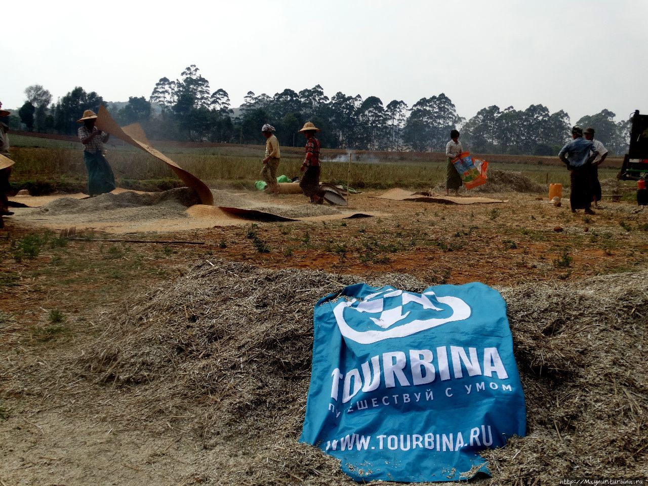 Флаг на просяном поле. Идет просеивание зерна. Второй день трека. Мандалай, Мьянма