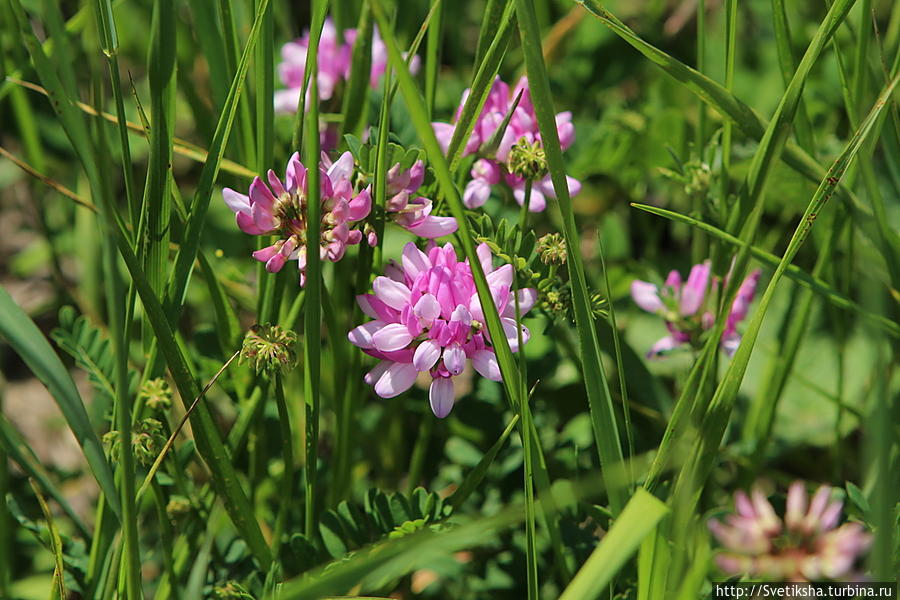 Озеро Цалка Цалка, Грузия Озеро Цалка Цалка, Грузия