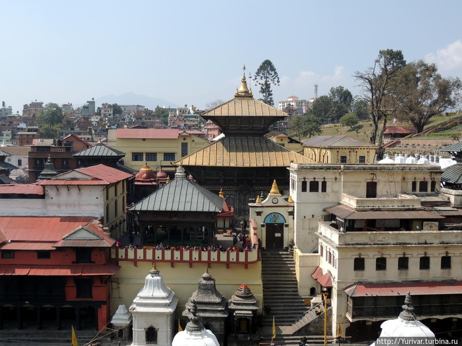 Вид на храм Пашупатинатх с холма Катманду, Непал