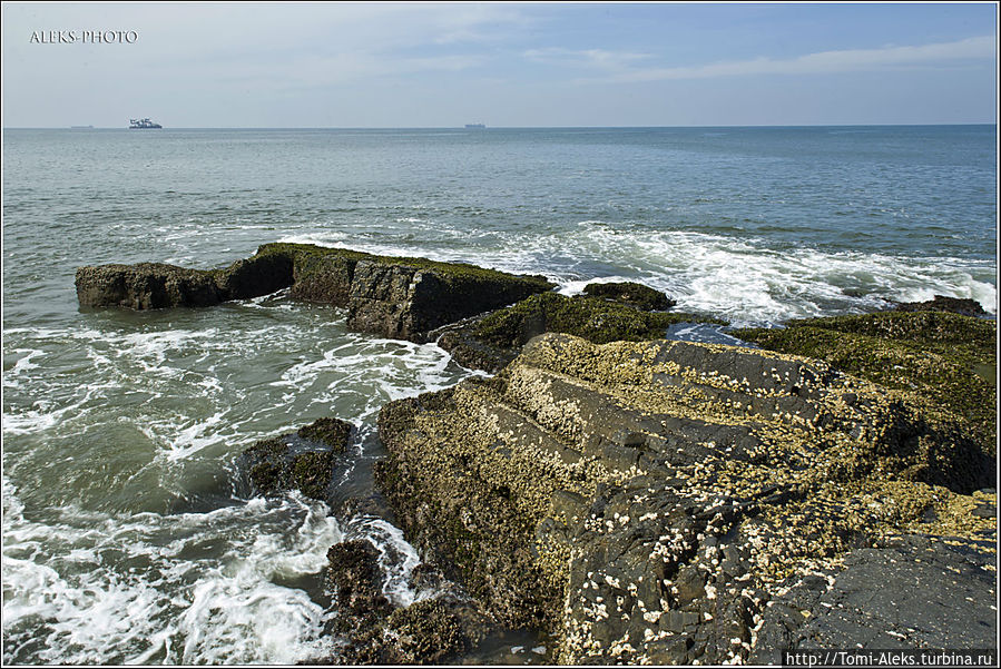 Впечатления от моря у нас остались довольно противоречивые. Но могу сказать точно, что вода здесь теплее, чем в это же время (в декабре) в Сиамском заливе в Таиланде...
* Впечатления от моря у нас остались довольно противоречивые. Но могу сказать точно, что вода здесь теплее, чем в это же время (в декабре) в Сиамском заливе в Таиланде...
*