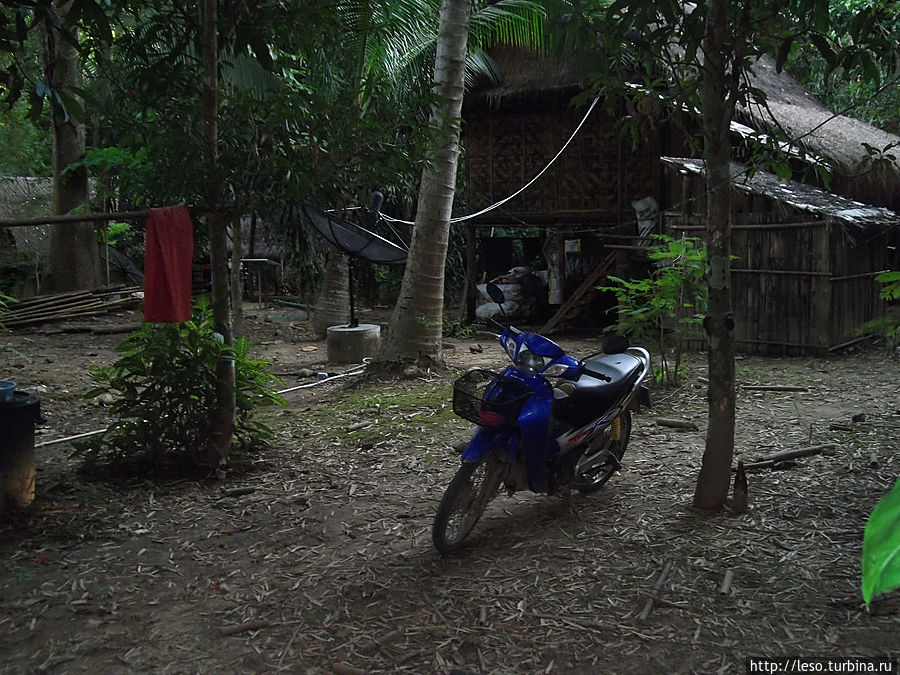 Так живут Моны Так живут Моны